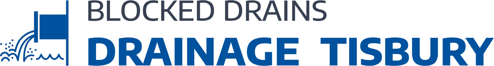 website logo